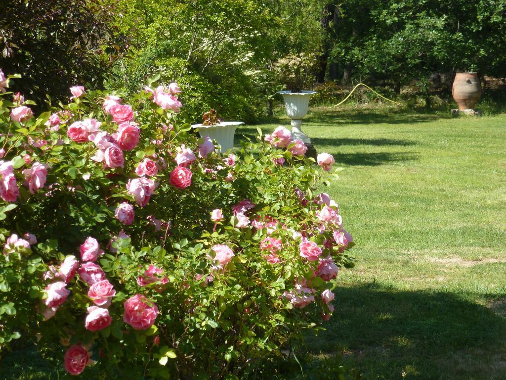 Domaine Du Planas Ailhon Ardeche Acomodação com café da manhã Quarto foto